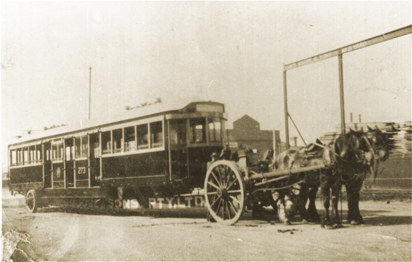 M&MTB W class no 273, late 1925. Photograph from the Melbourne Tram Museum